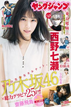 2024热播总裁短剧免费看