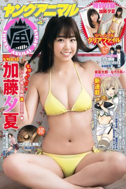 公府贵妻全文