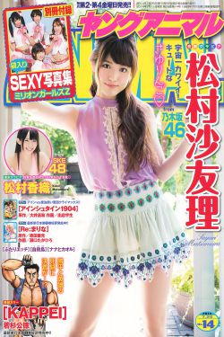 野鸭子1